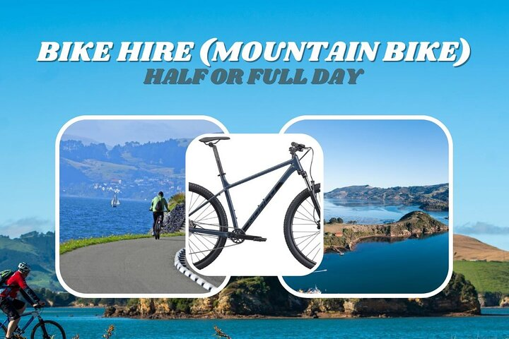 Non-Electric Bike Rental - Photo 1 of 8